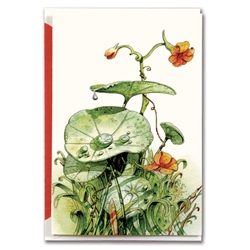 Greeting Cards - Nasturtium  